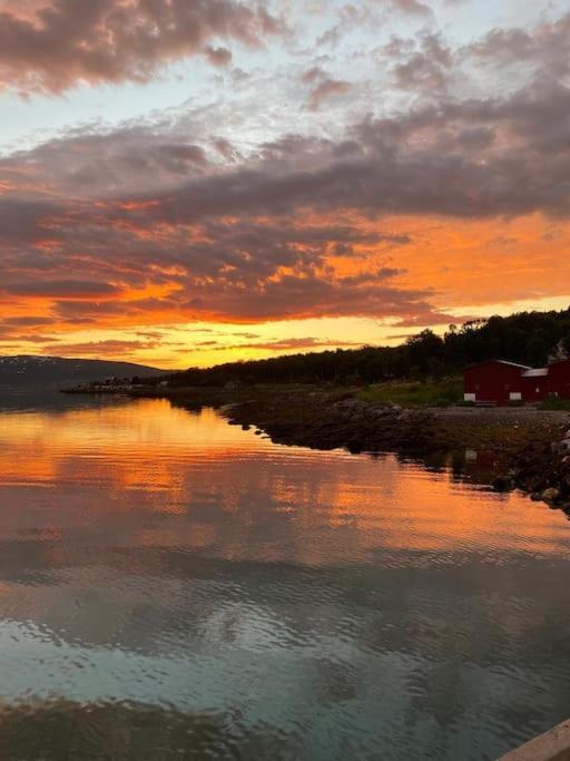 With Parking And Sauna * Tromso