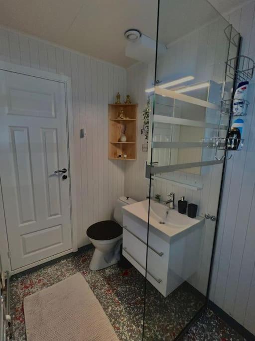 Apartment With Parking And Sauna *
